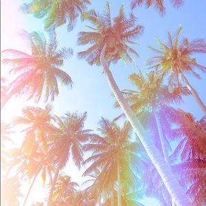 Meet your Posher, Abbey